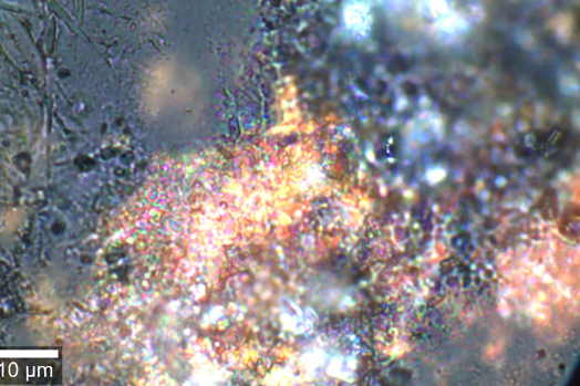 Fotografía por espectroscopía Raman de la zona externa dorada del mural del Museo de Arte Costarricense.