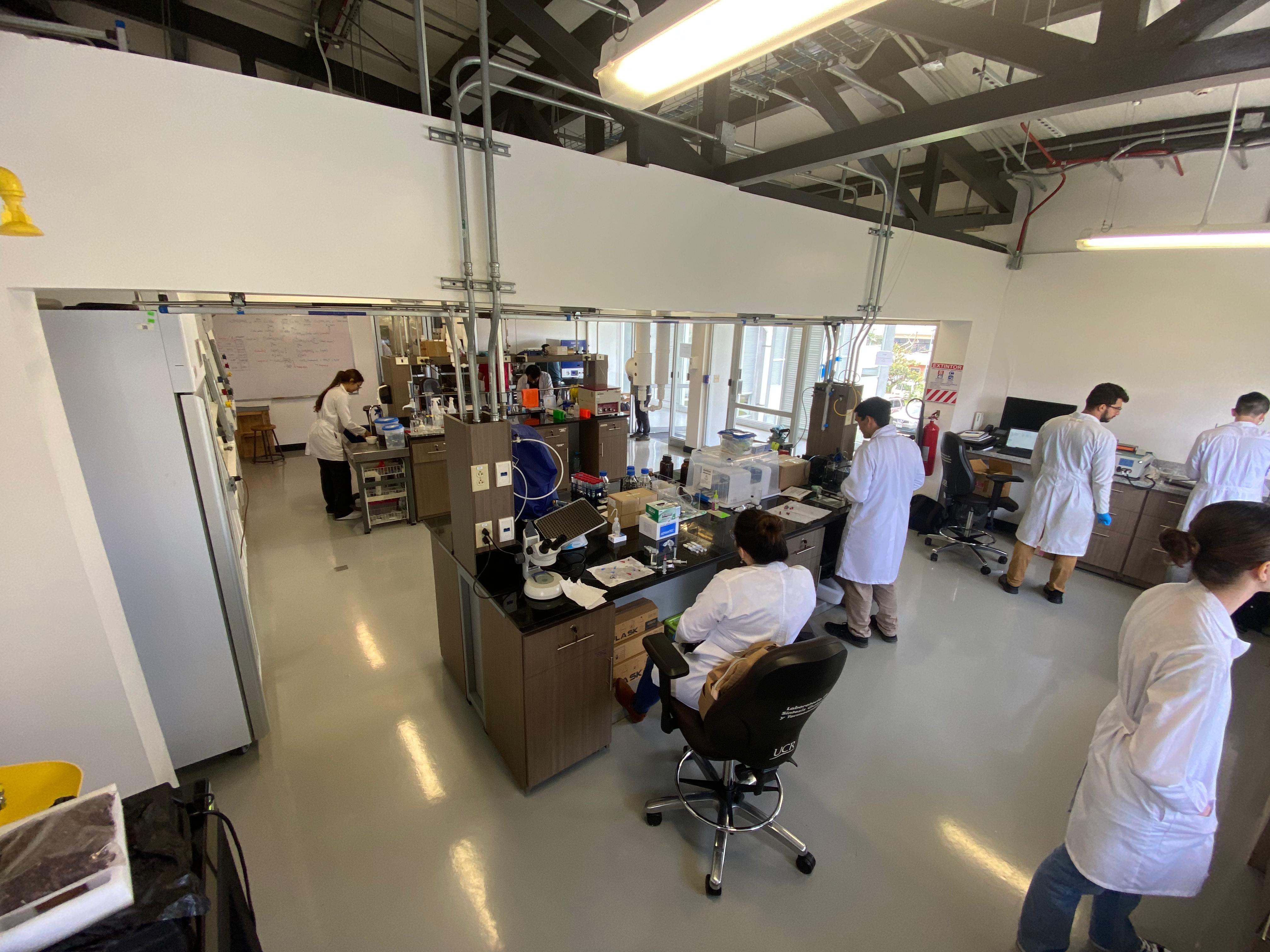 Laboratorio de síntesis química y termoanálisis