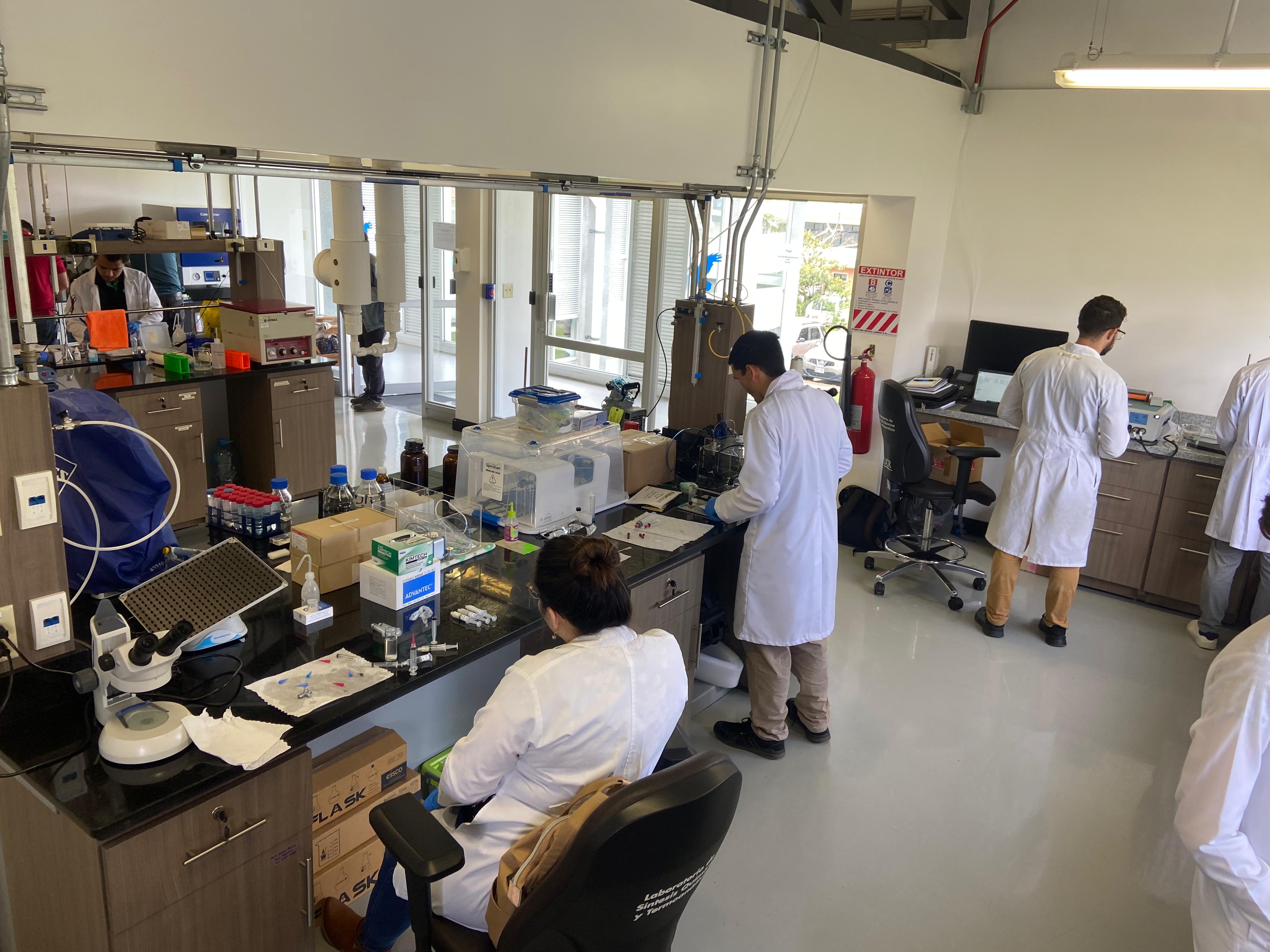 Laboratorio de síntesis química y termoanálisis