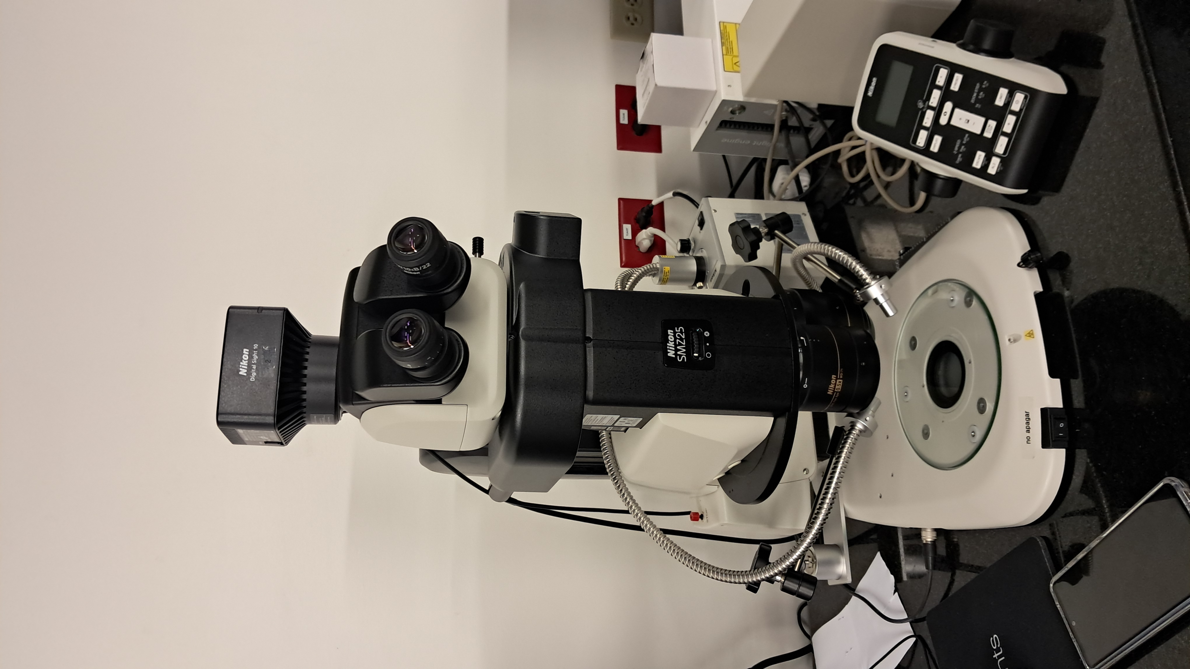 Estereoscopio Nikon SMZ25